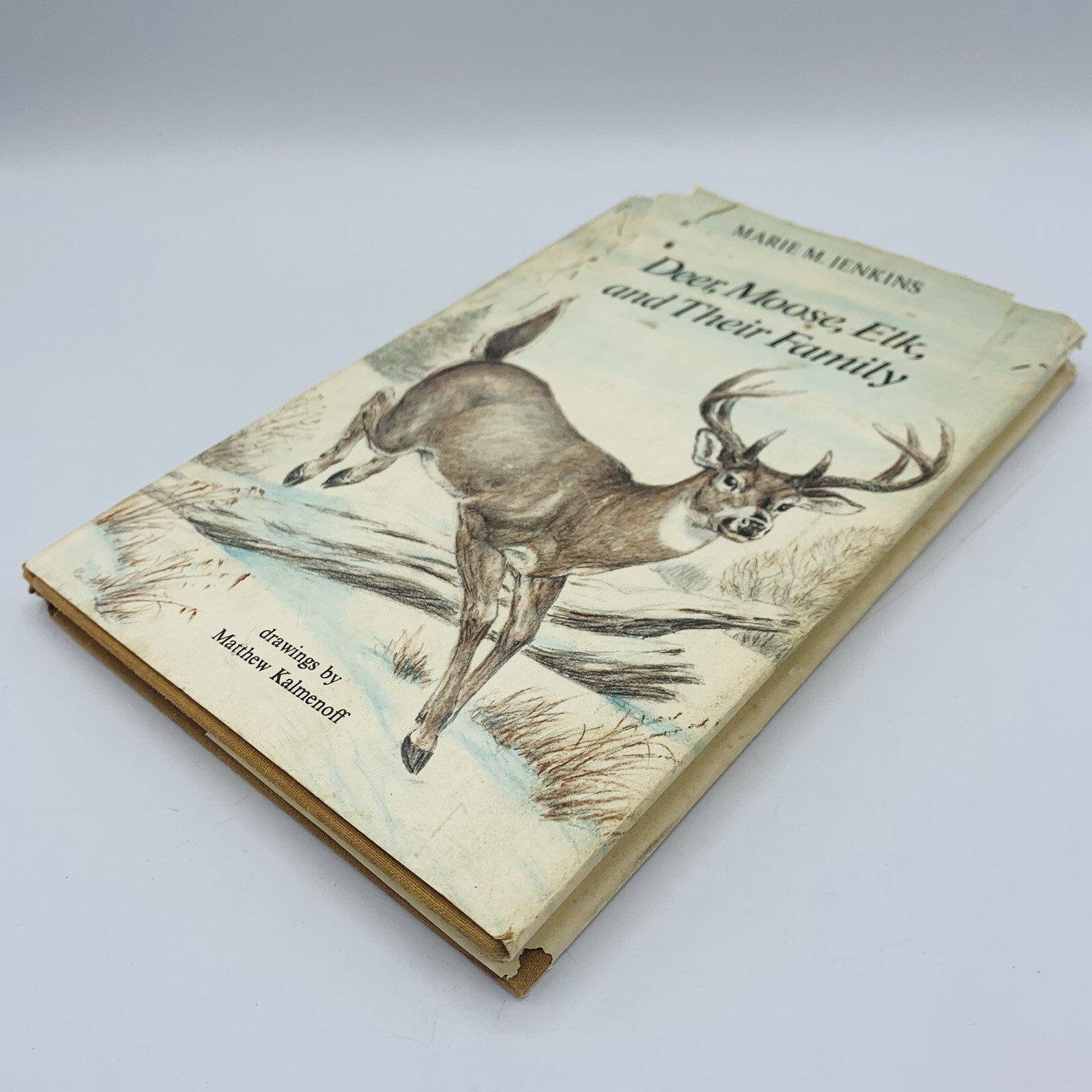 Deer Moose Elk and Their Family Hardcover Marie M Jenkins 1979 Good Nature Vtg