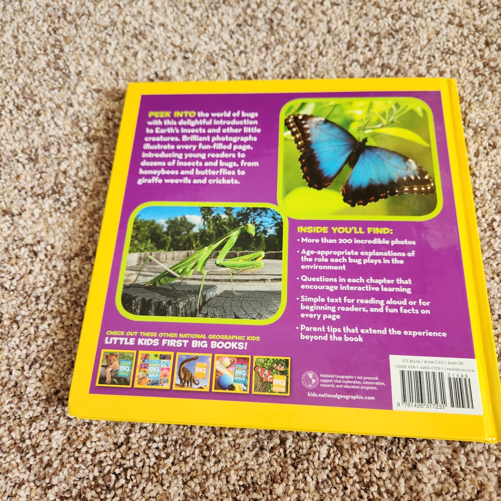 Little Kids First Big Book of Bugs by Catherine D. Hughes
