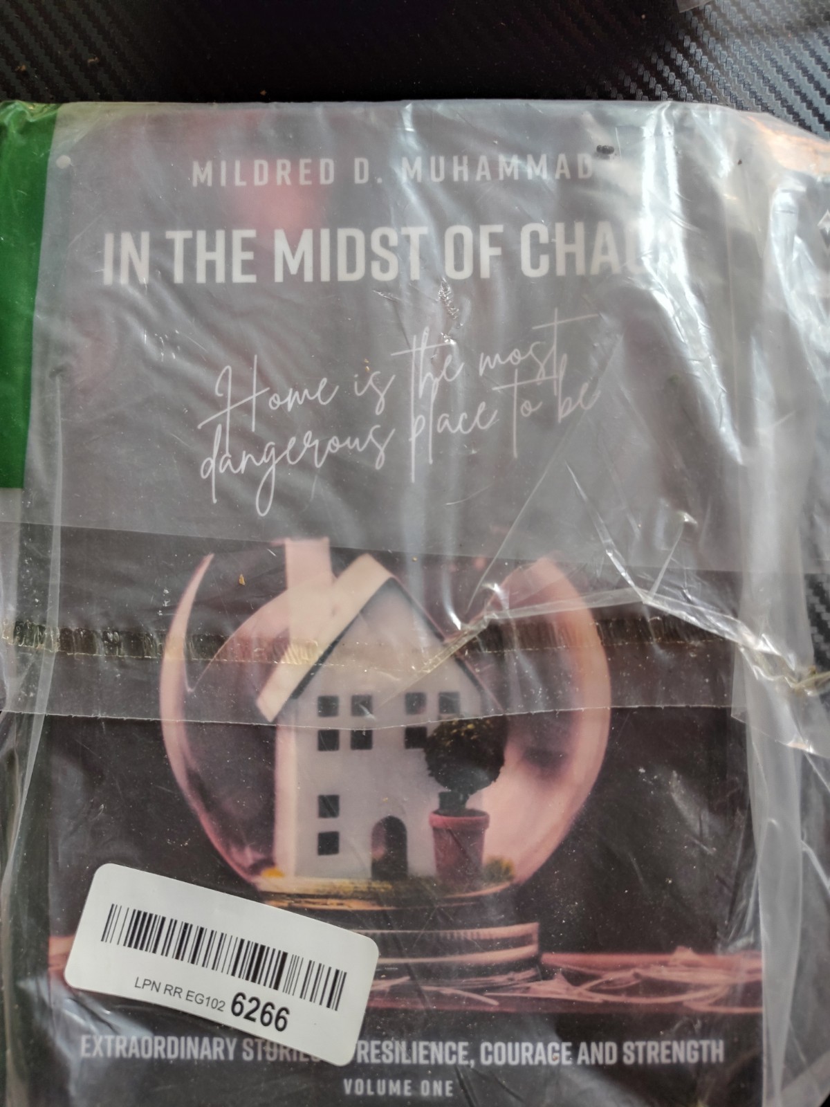 In The Midst Of Chaos…Home Is The Most Dangerous Place To Be