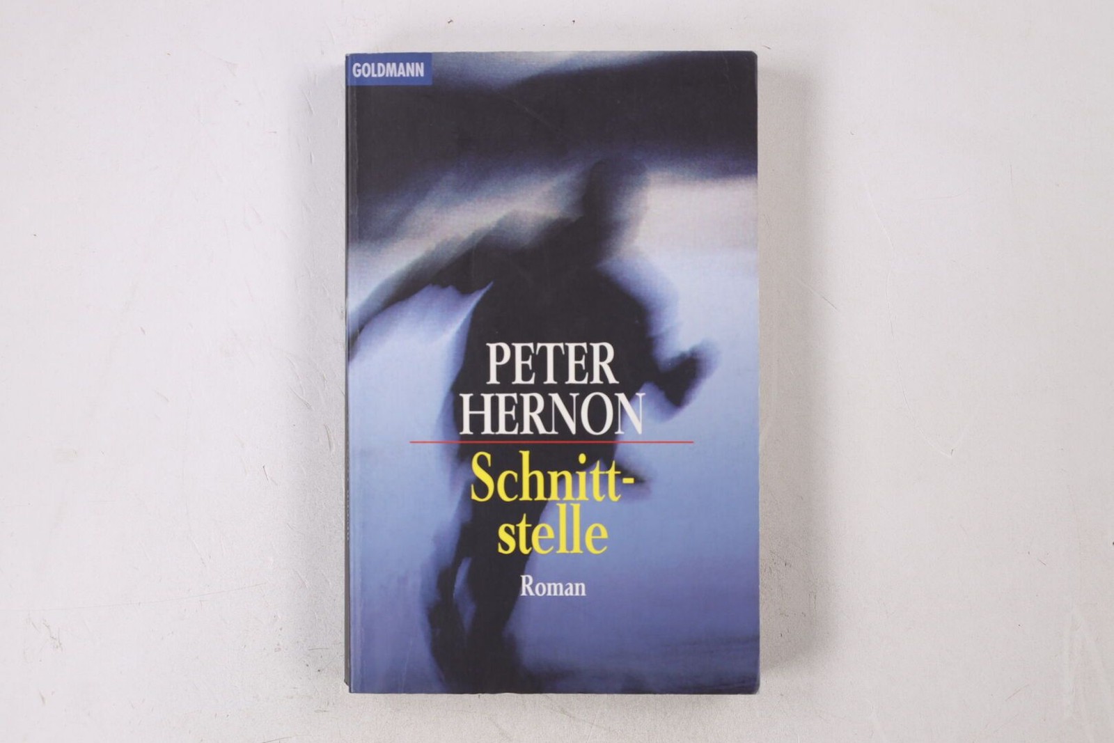 33406 Peter Hernon SCHNITTSTELLE Roman