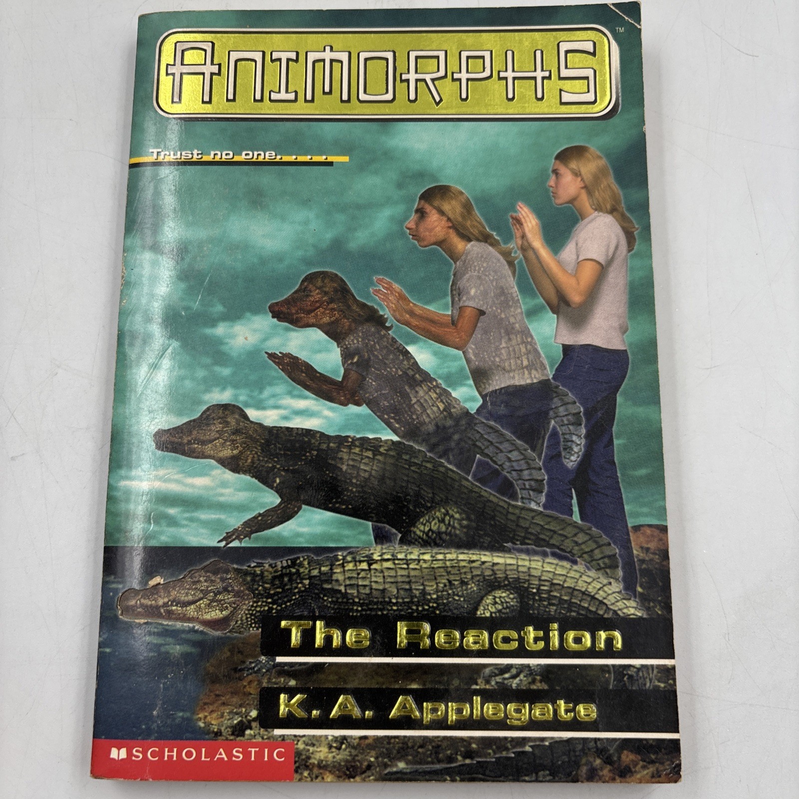 Animorphs Book Lot of 15 K.A. Applegate Scholastic Paperback Vintage 15