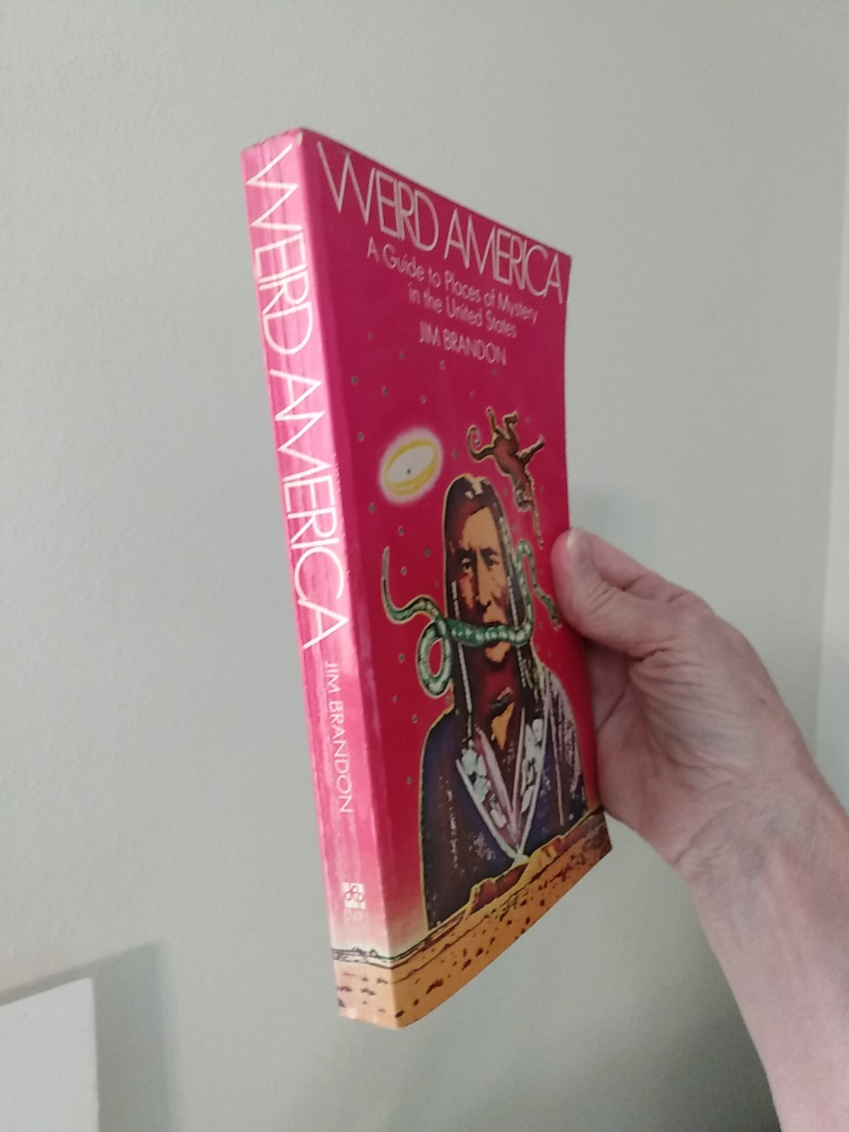 Rare Weird America: A Guide to Places of Mystery in the United States 1st Ed PB