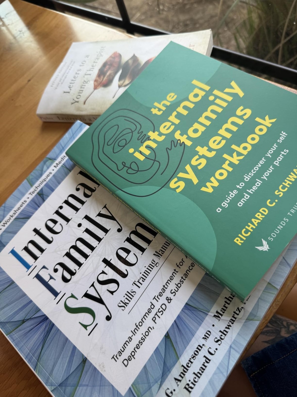 Self Healing Workbook Internal Family Systems Guide Parts Therapy Paperback, New