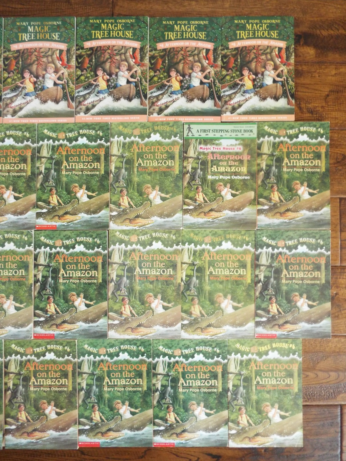 Lot 22 Magic Tree House Guided Reading #6 Afternoon on the Amazon Books