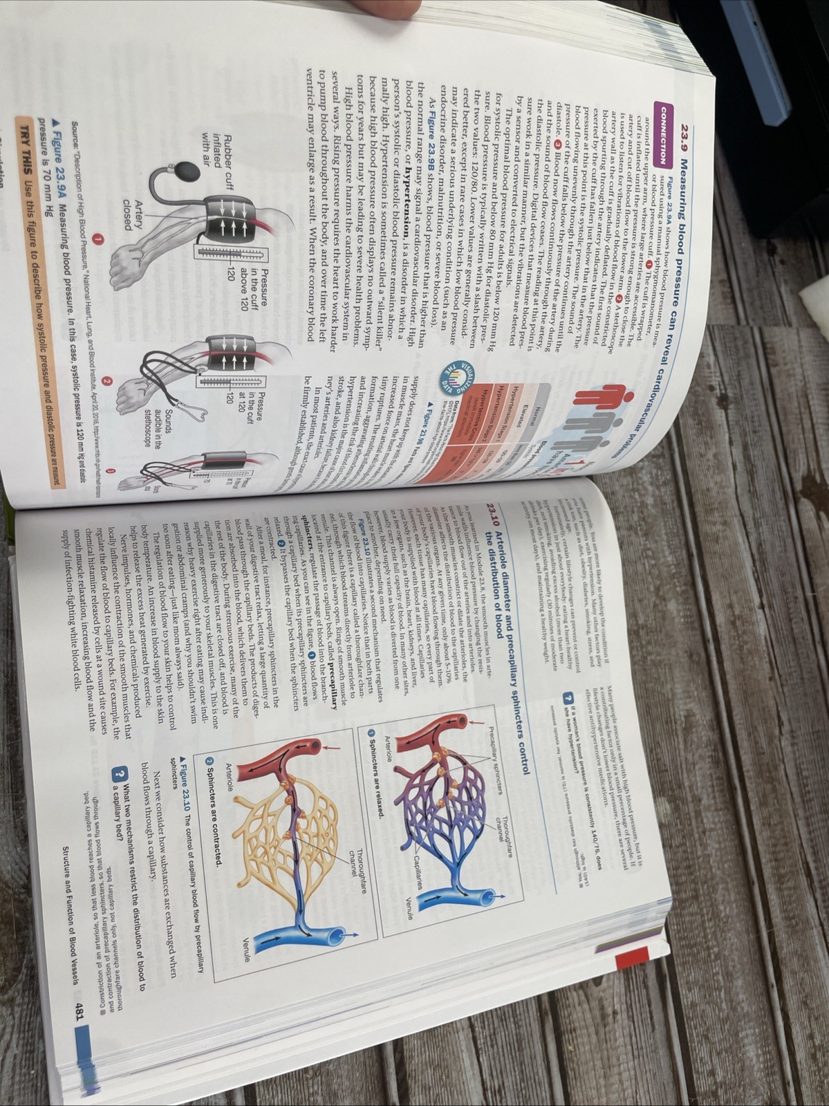Campbell Biology: Concepts & Connections [RENTAL EDITION] (10th Edition) – VG