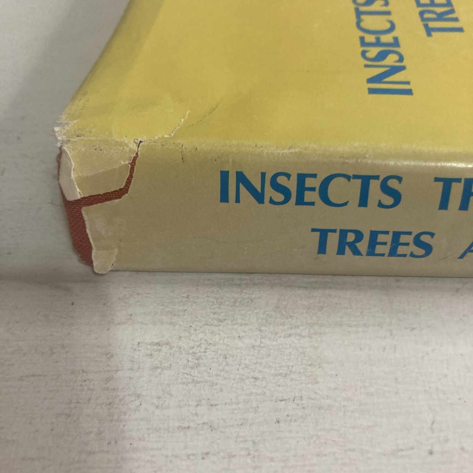 Insects That Feed On Trees and Shrubs by Warren Johnson + Howard H. Lyon HC/DJ