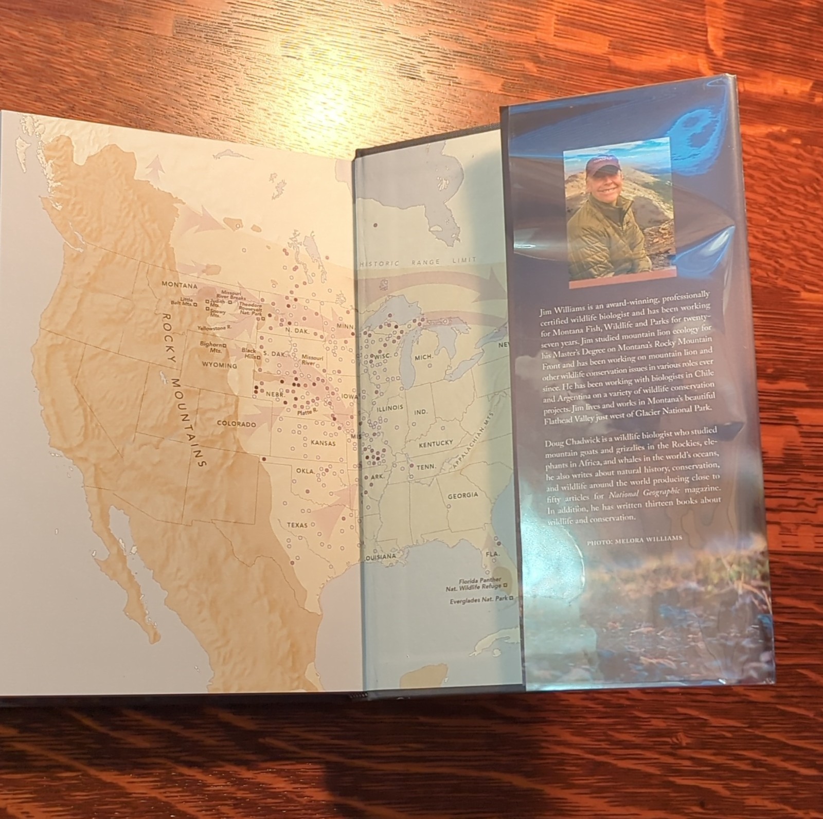Patagonia Path of the Puma: Mountain Lion Resilience by Jim Williams, Hardcover