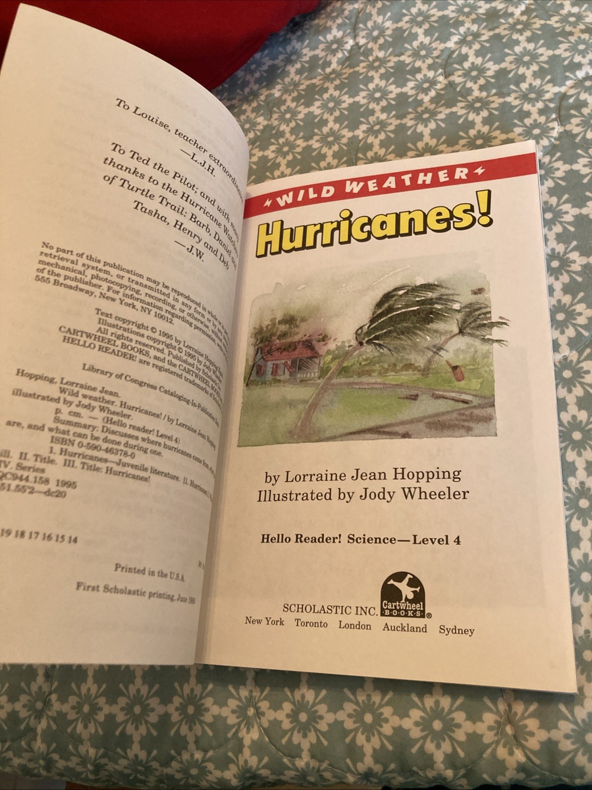 Hurricanes! (Hello Reader, Level 4) by Lorraine Jean Hopping (1995, Digest…
