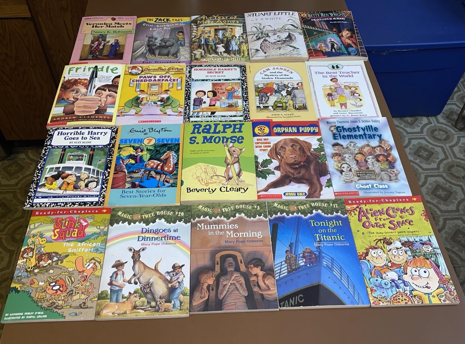 Lot of 60 Chapter Books For 1st 2nd 3rd Grade Readers Ages 6-10 Huge Variety