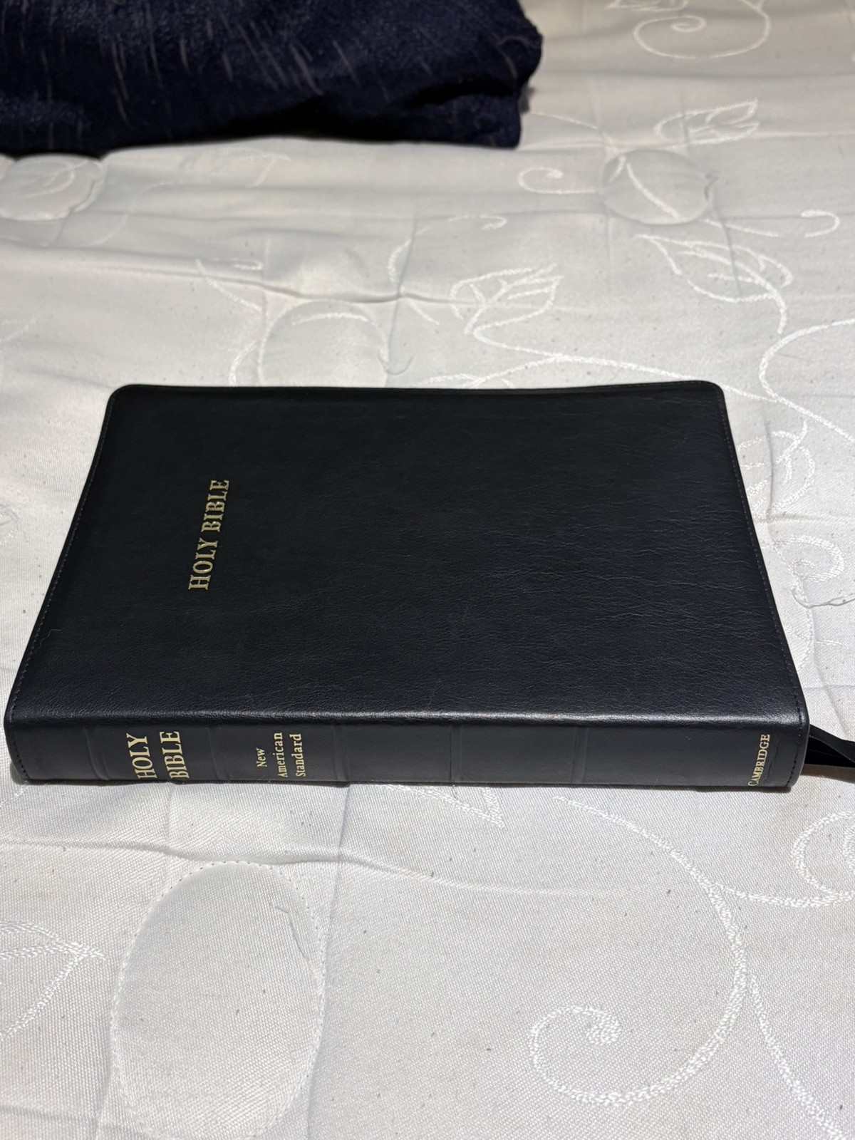 bible study books