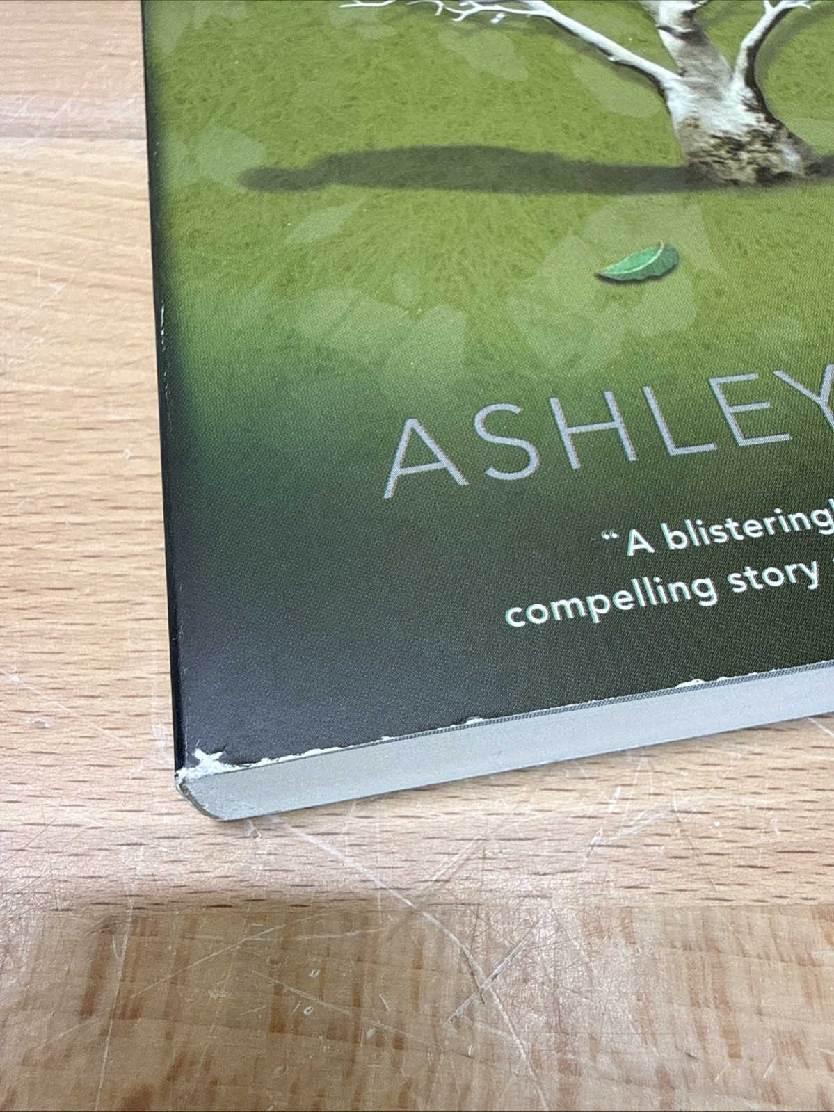 Lying Woods by Ashley Elston (2019, Trade Paperback)