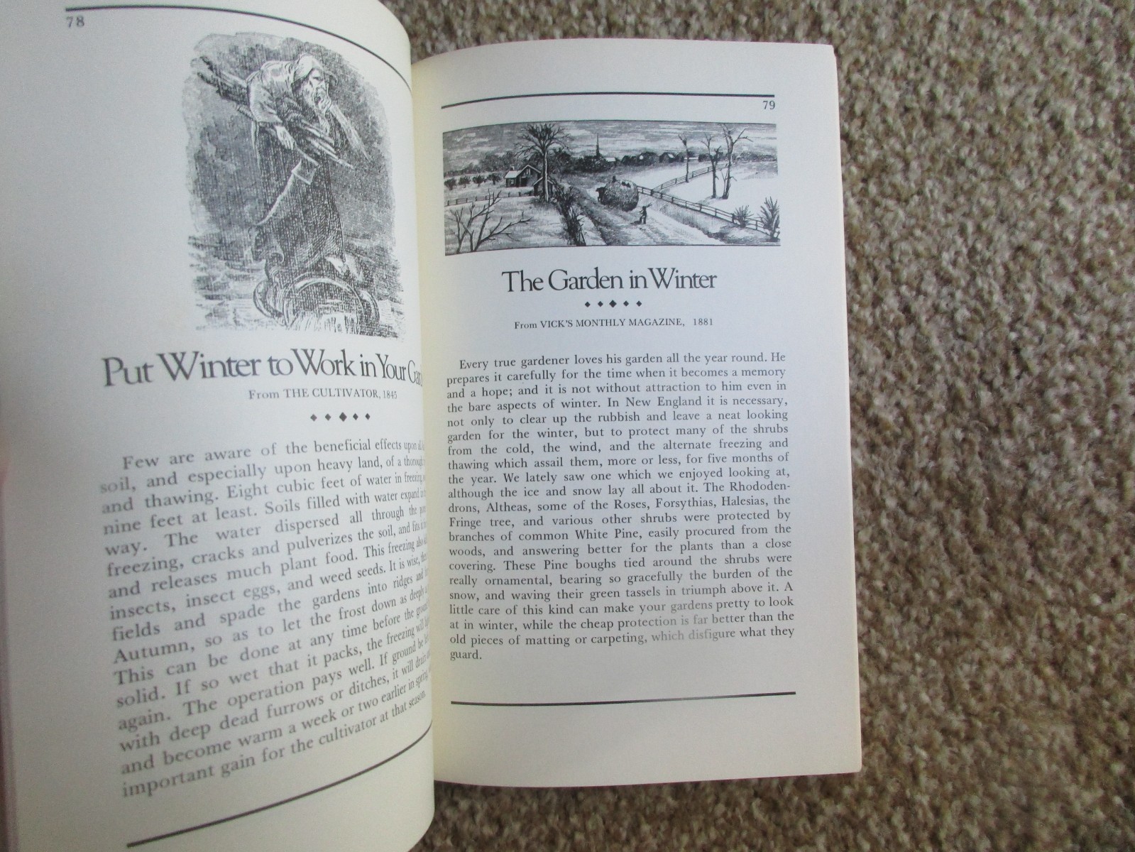 Homestead Hints – A Compendium of Useful Information From the Past – 1986, Berg