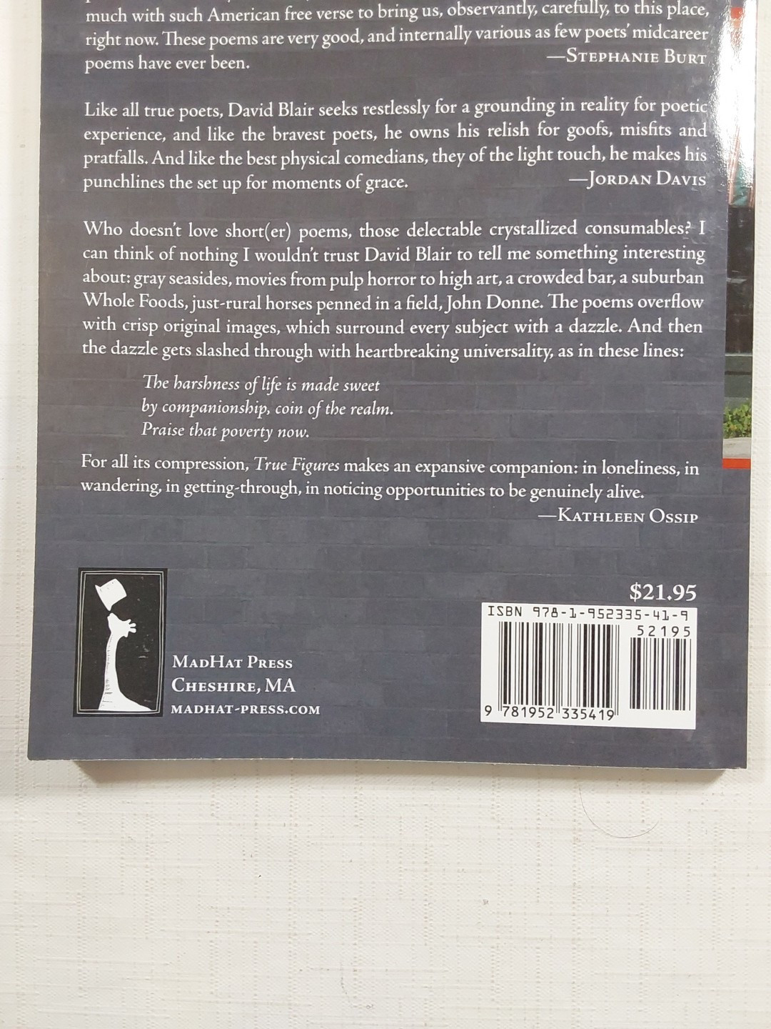True Figures: Selected Shorter Poems and Prose Poems 1998-2021 by Blair, David