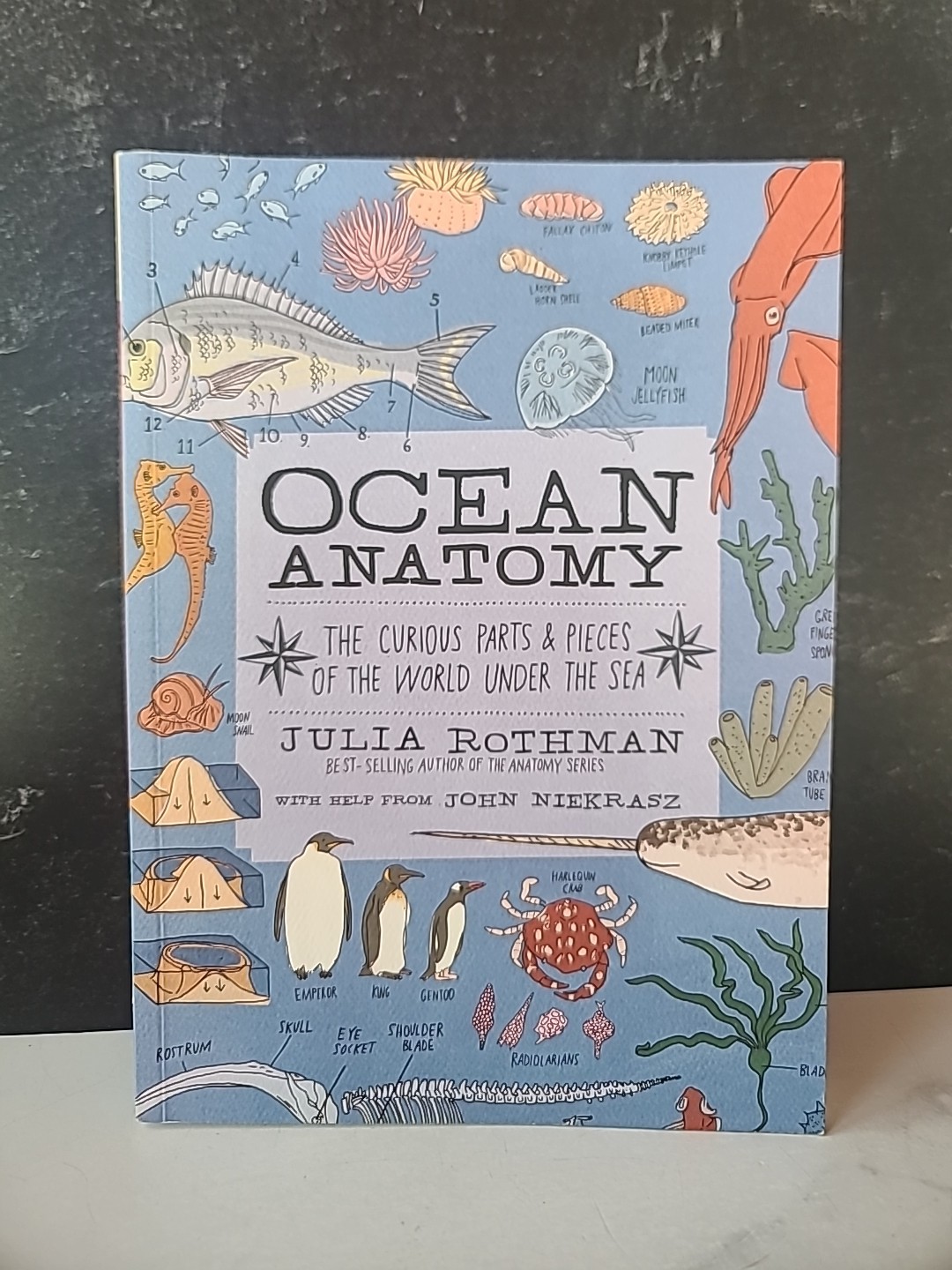 Julia Rothman Collection : Farm Anatomy, Nature Anatomy, and Food Anatomy by…