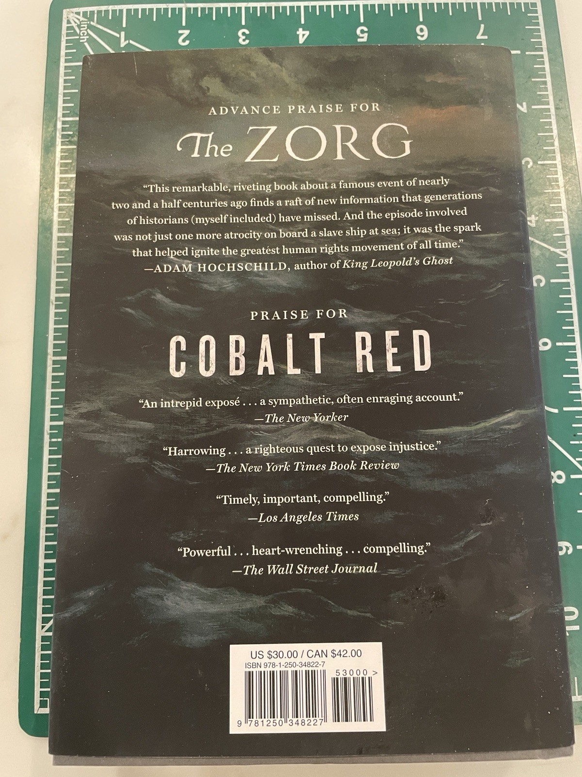 The Zorg by Siddharth Kara