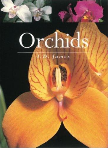 Orchids