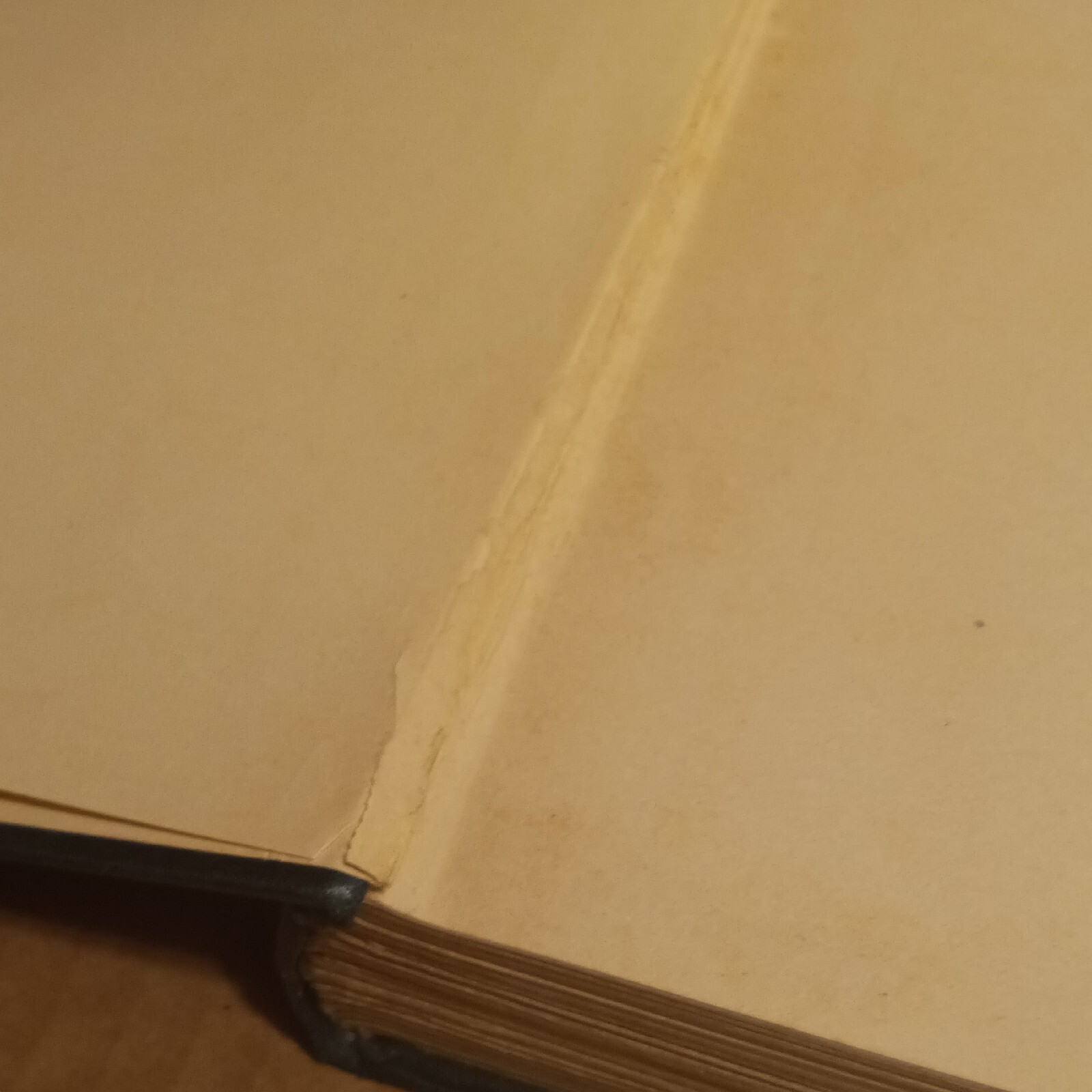 1904 The Return to Protection William Smart First Edition Antique Book