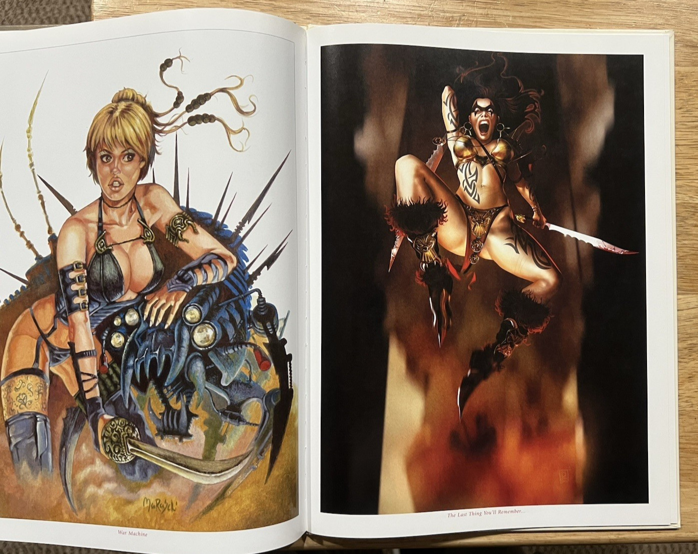 SWORD SONG 1: SISTERHOOD OF STEEL By Various & Various *Excellent Condition*