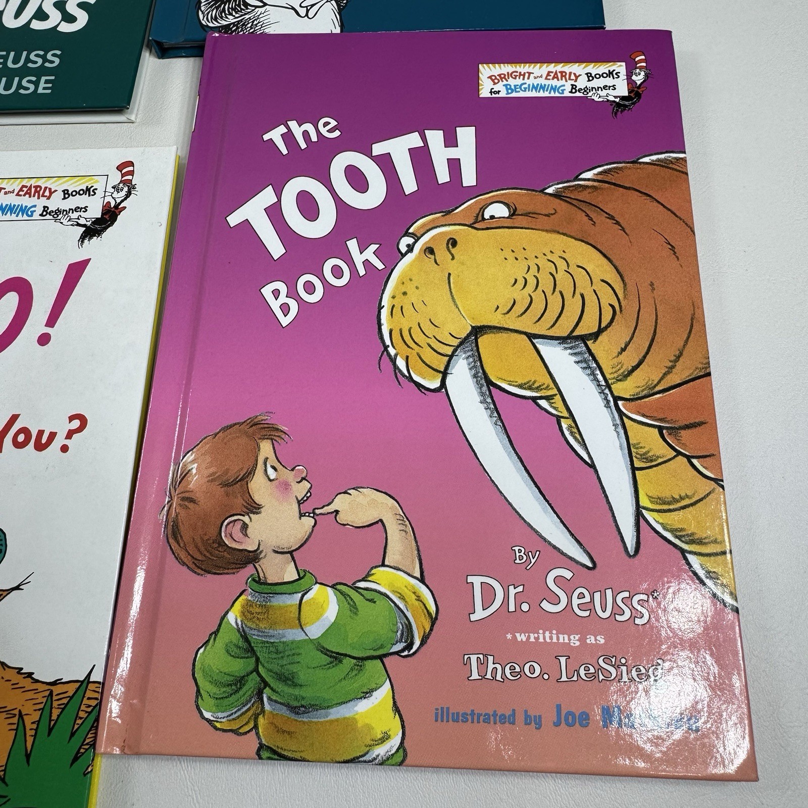 Bright & Early Beginner Dr Suess Books Dr Suess Lot Of 14 READ ALL
