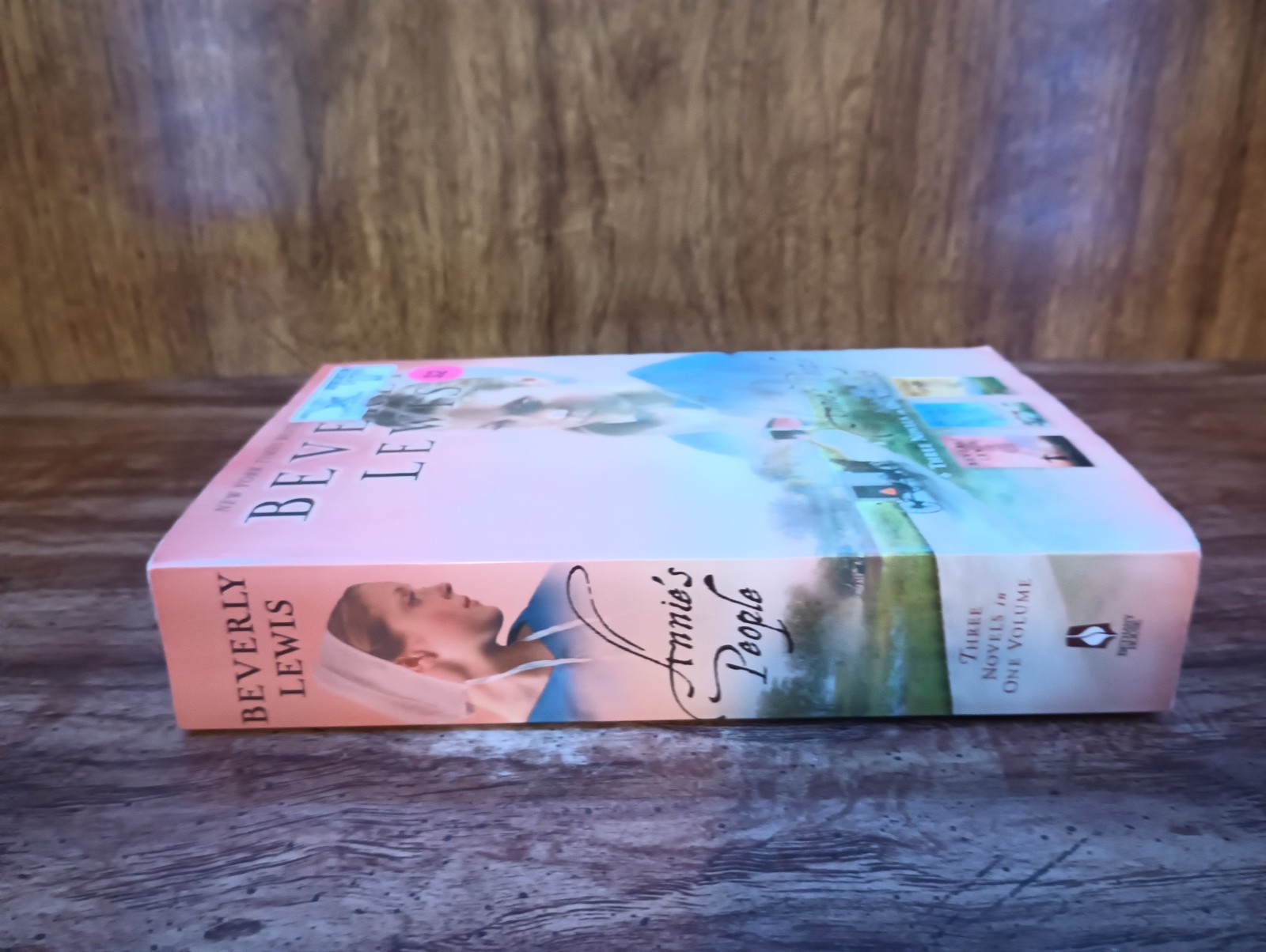 Annie’s People Beverly Lewis PB Amish Fiction Family Faith Good Condition