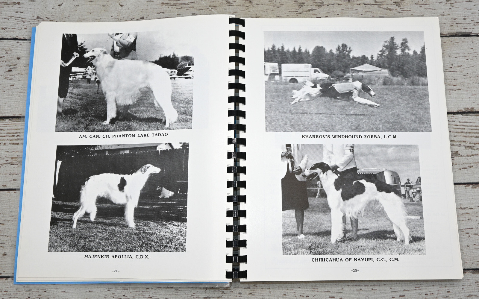 Borzoi Club Of America 1985 Yearbook BCOA Vintage Sprial Bound