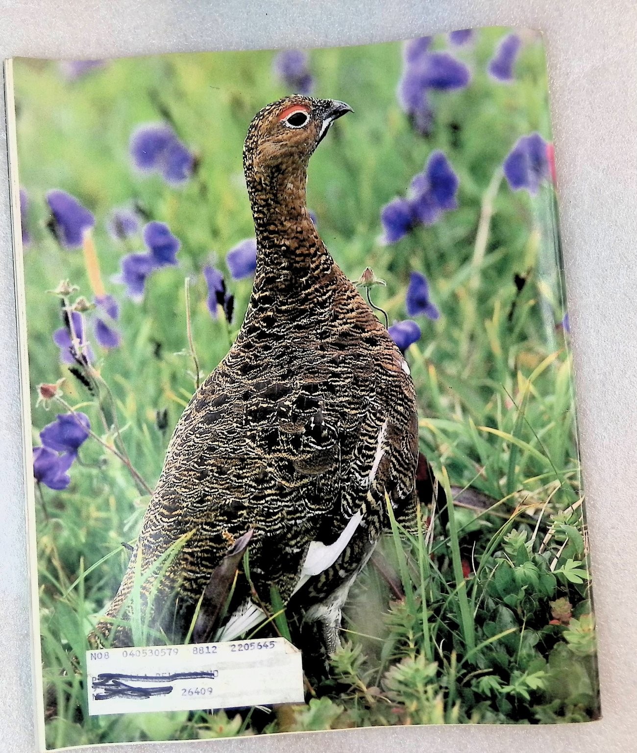 National Wildlife Magazine Aug-Sept 1988 Vintage Nature Wildlife Federation