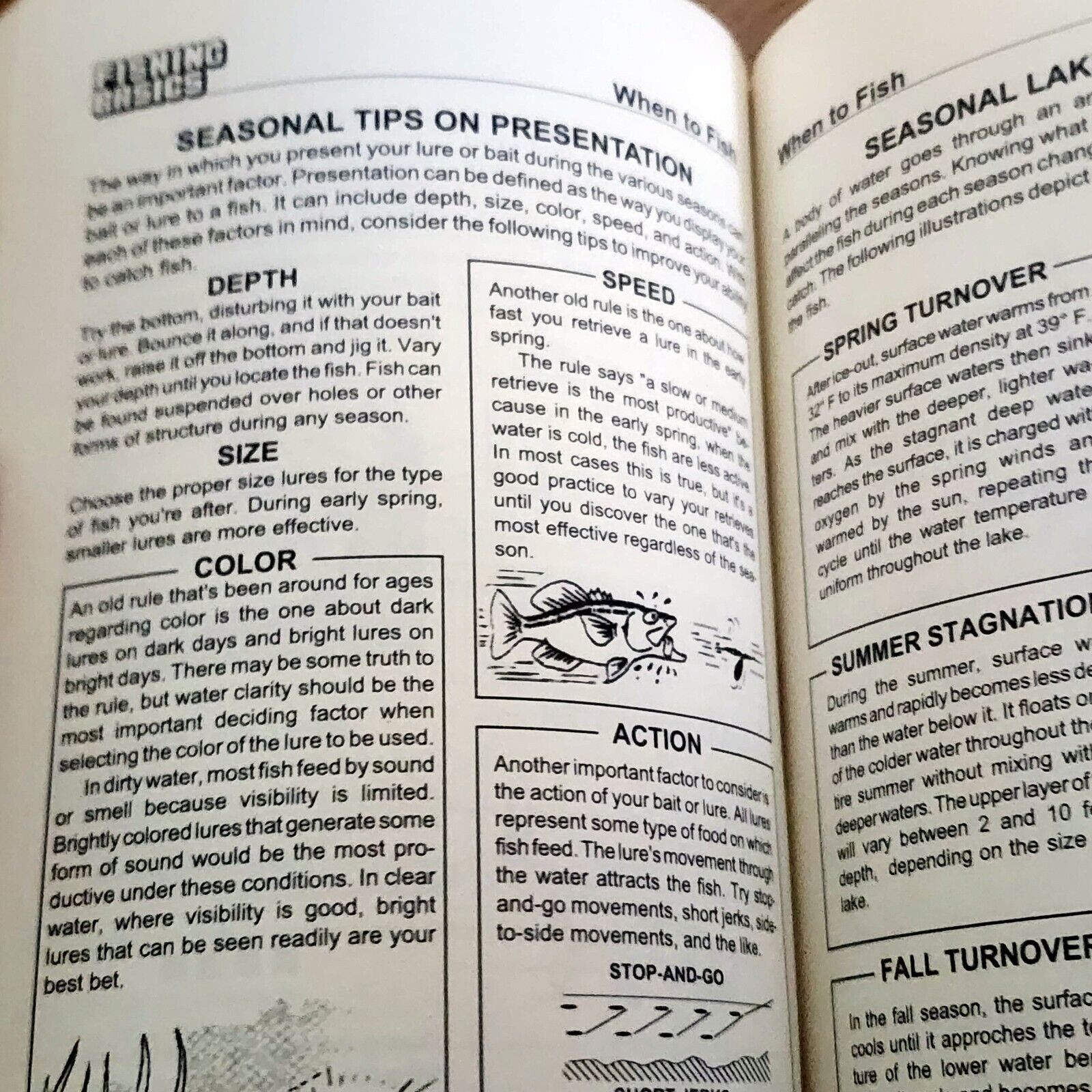 Fishing Basics: The Complete Illustrated Guide by Kugach, Gene , Paperback