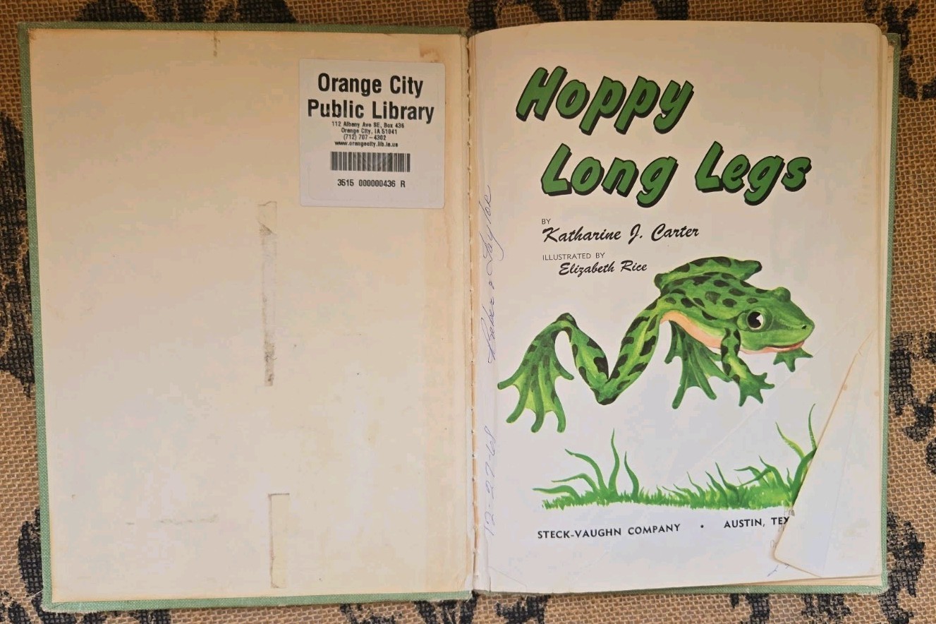 Stories about Frogs Childrens Book Lot Freddie the Frog, Hoppy Long Legs, Gorky