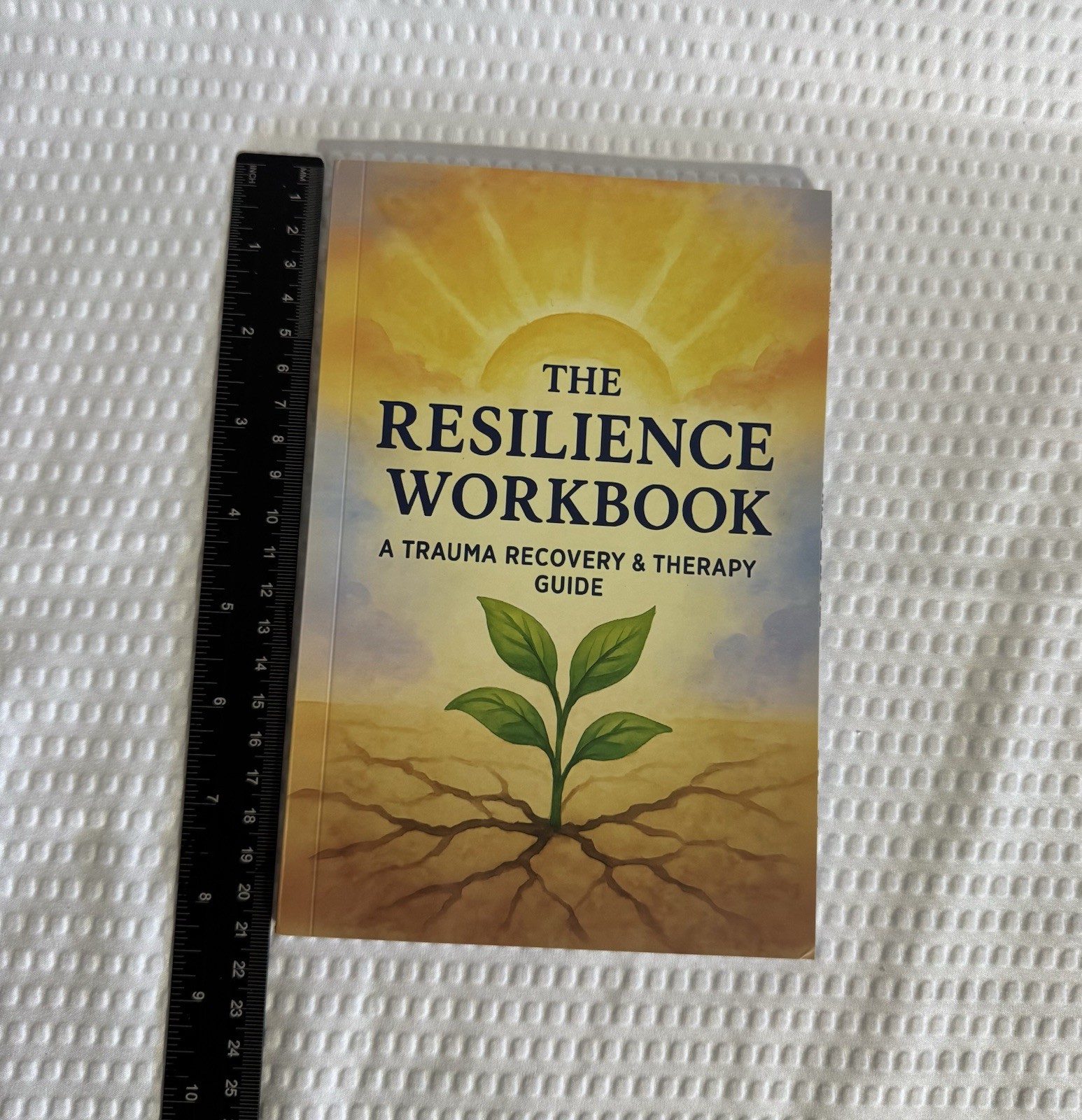 The Resilience Workbook A Trauma Recovery And Therapy Guide 132 Pages