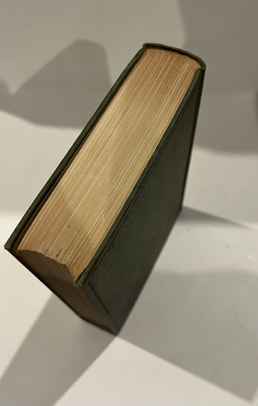 Idle Days in Patagonia W.H. Hudson 1917 hardcover book