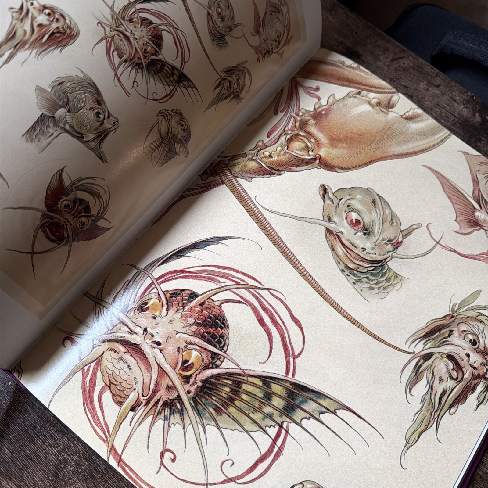 Animalia & Fantasia Hardcover Book Art Nouveau Creatures Dragons by Anton Seder
