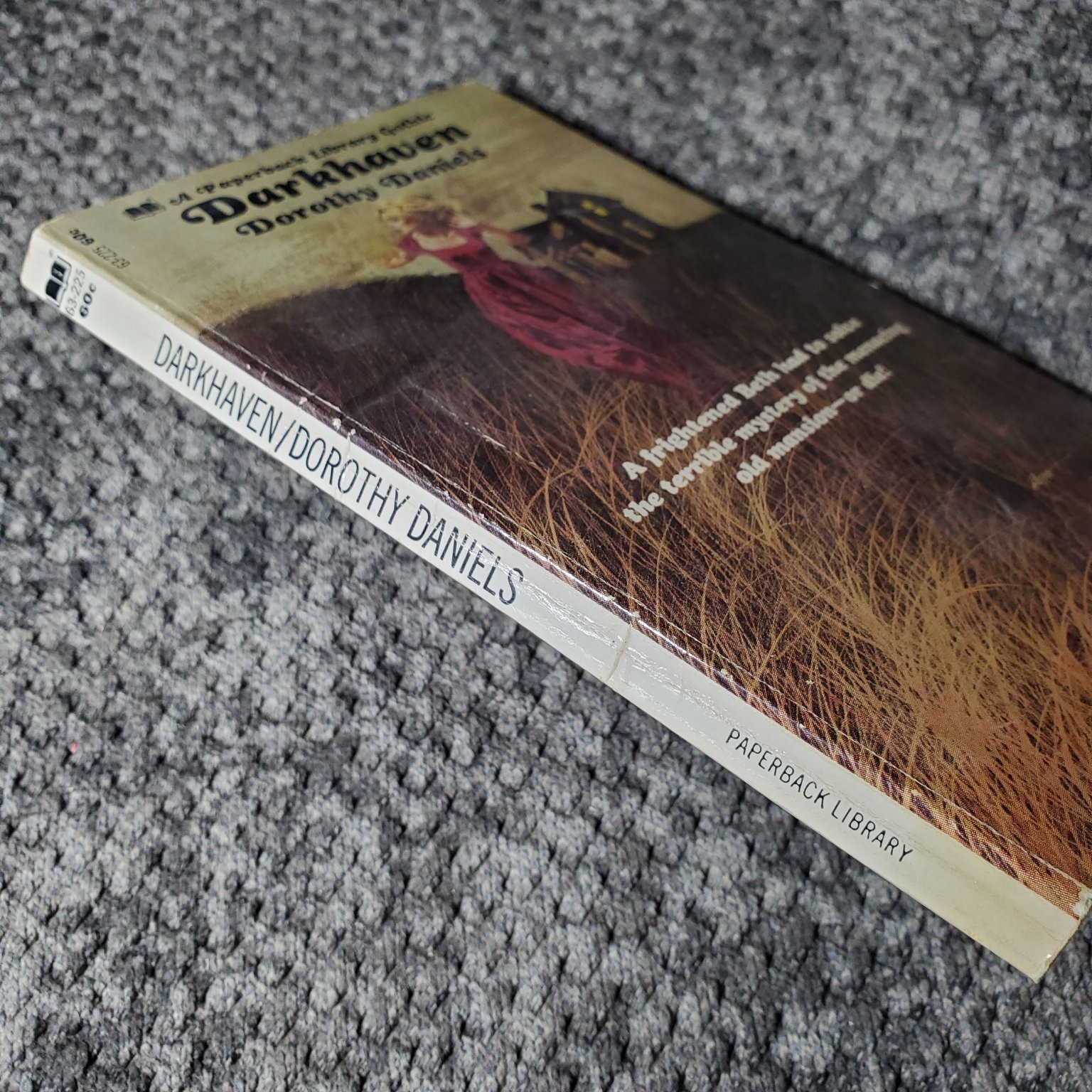 Darkhaven Dorothy Daniels 1969 Second Printing Paperback Library Gothic Novel