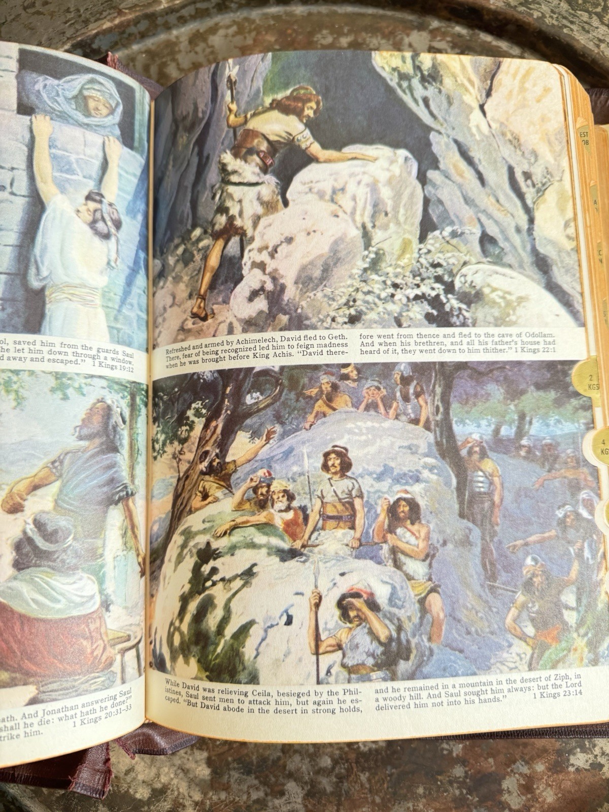 The Holy Bible The Catholic Press Holy Family Edition 1950