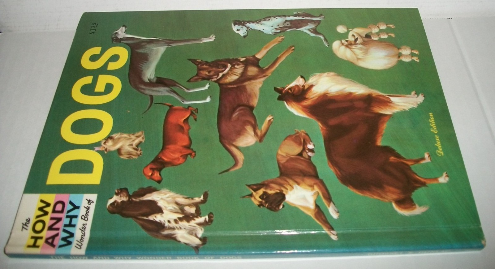 The How and Why Wonder Book of Dogs $1.25 Deluxe Edition G&D 1962 Robbin 4031 EX