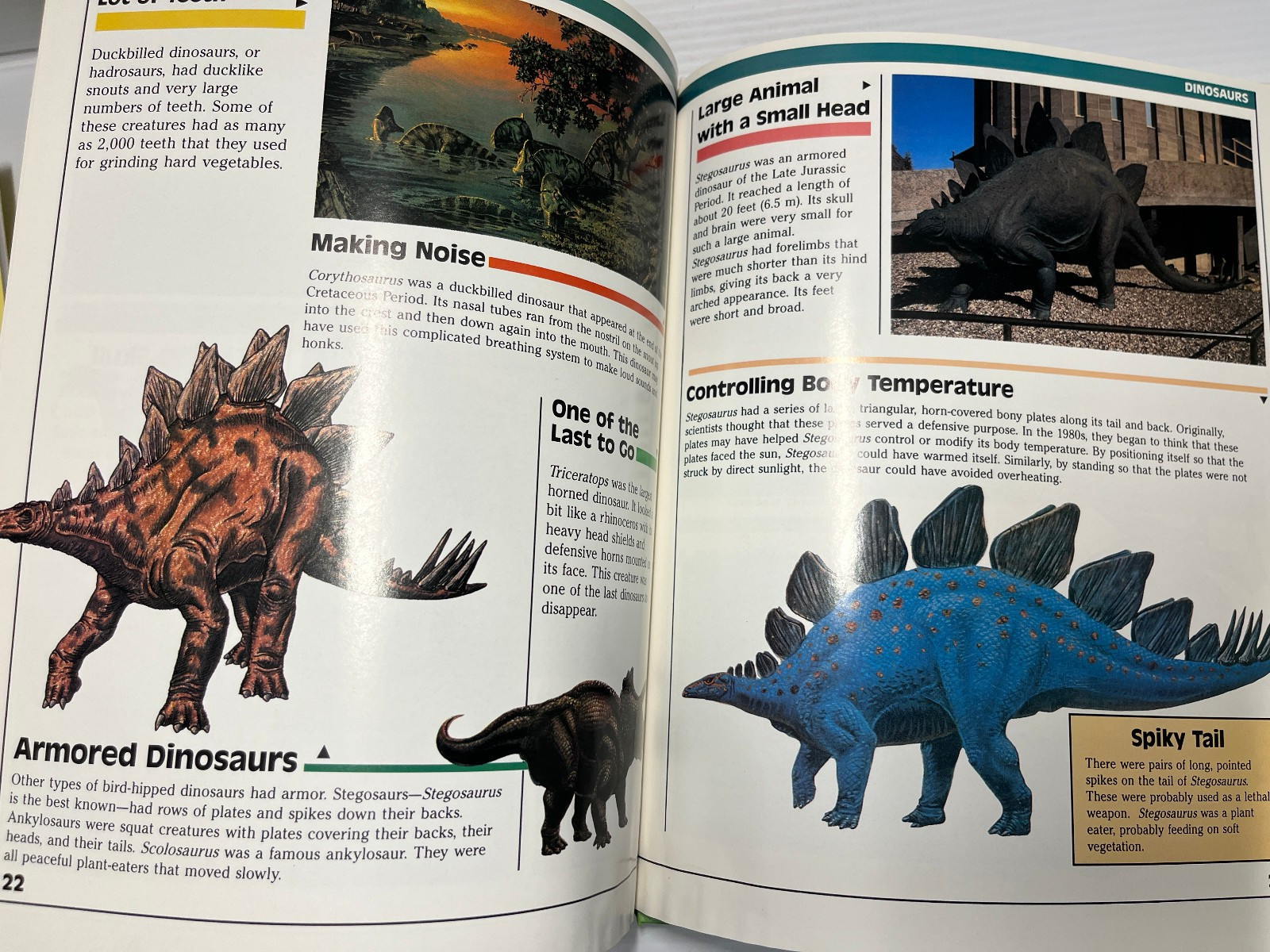 3 Dinosaurs Curriculum 3 Kids Student Information Home school Classroom Lot of 6