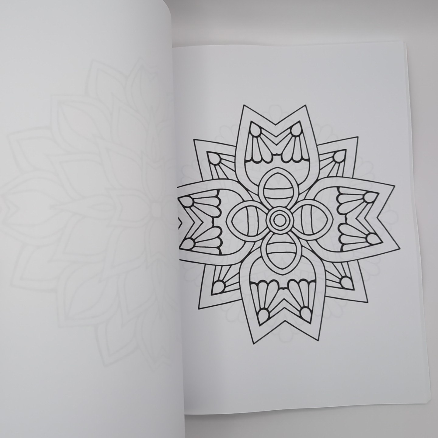 Coloring Book for Adults: 100 Mandalas: Stress Relieving Mandala Designs for Adu
