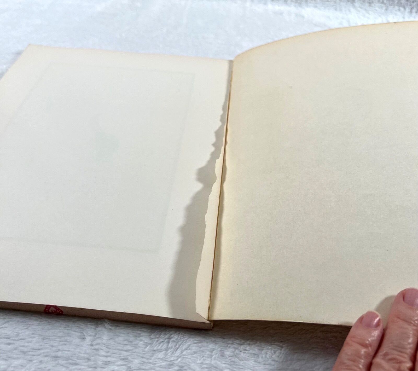 Cat People by Bill Hayward Softcover First Edition, 2nd Printing 1978, 158 pages