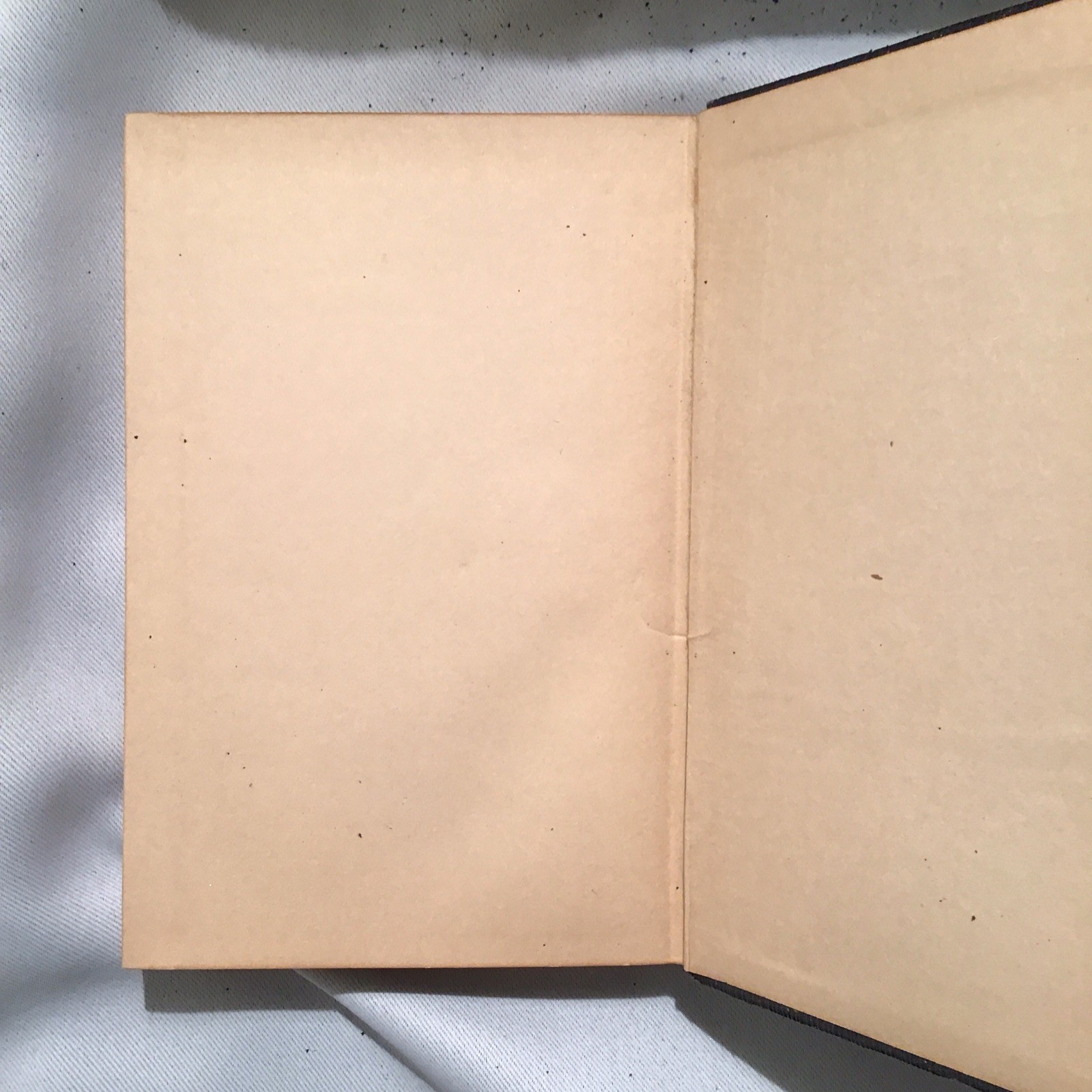 1904 Works of Edgar Allan Poe in Ten Vol, Commemorative Ed. No I and III vol.