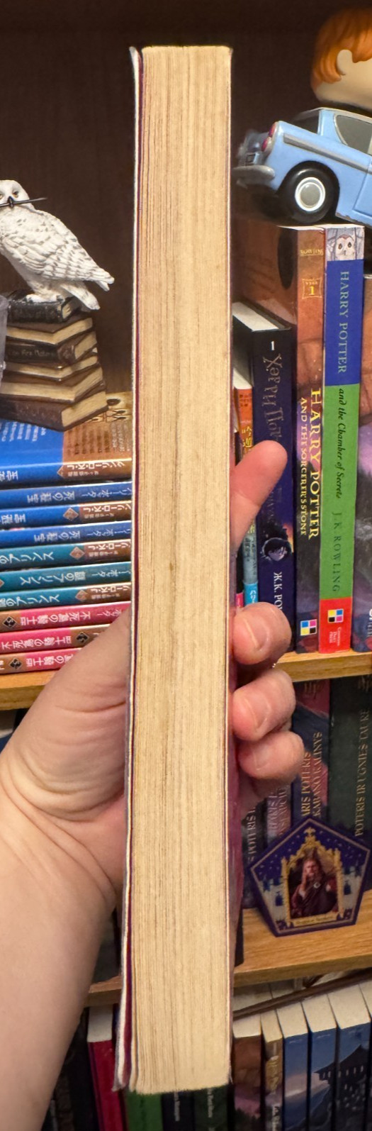 Later Adult Edition Harry Potter and the Philosopher’s Stone, SC, JK Rowling