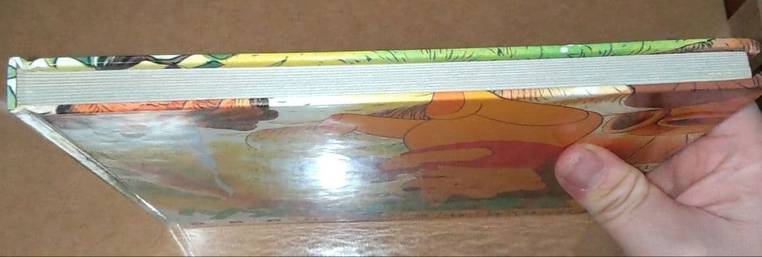 Disney Animeland Winnie the Pooh Picture Book Collectible First Edtion Used