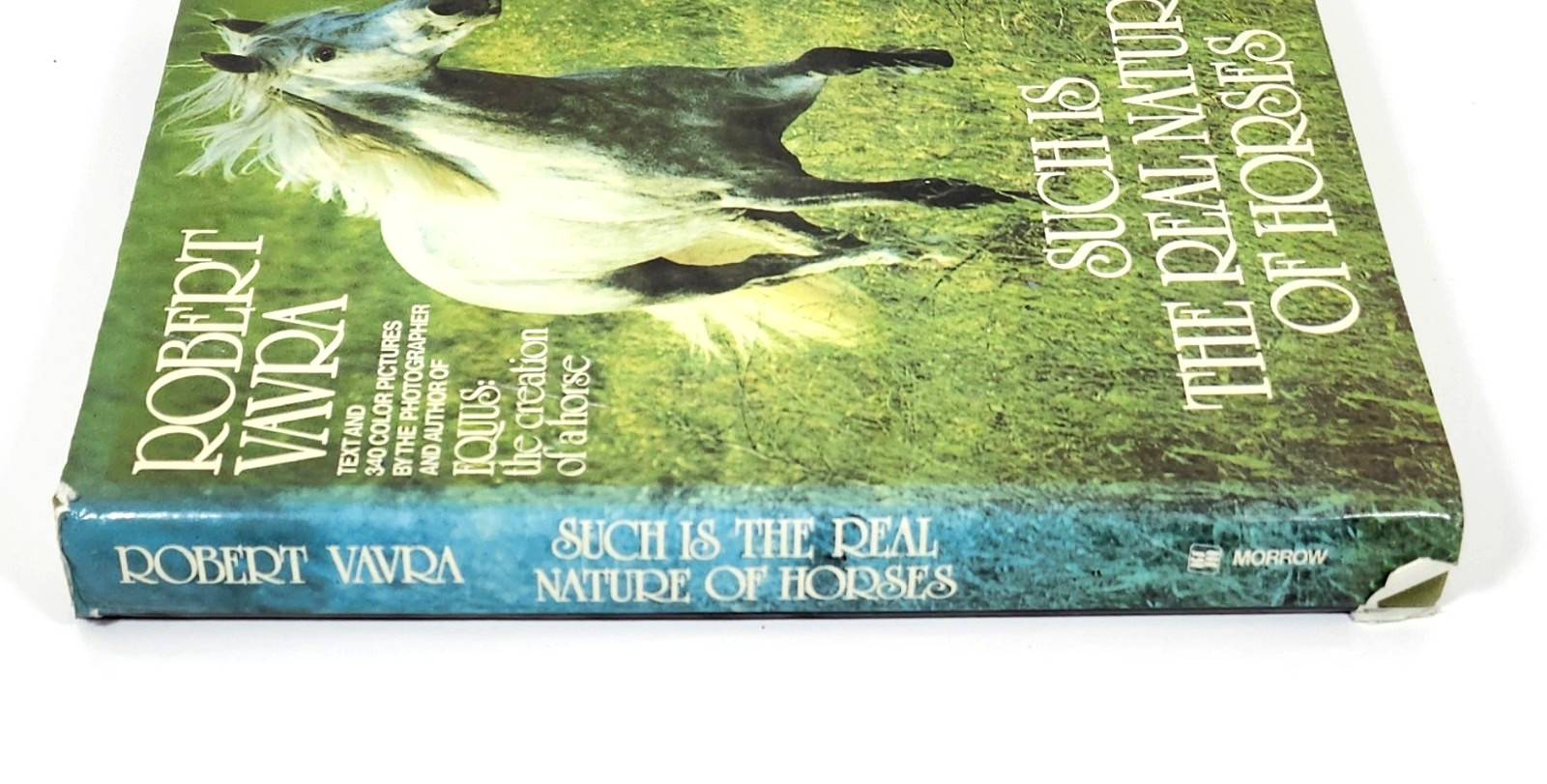 Such Is The Real Nature of Horses by Robert Vavra 1979 HC 340 Color Photos