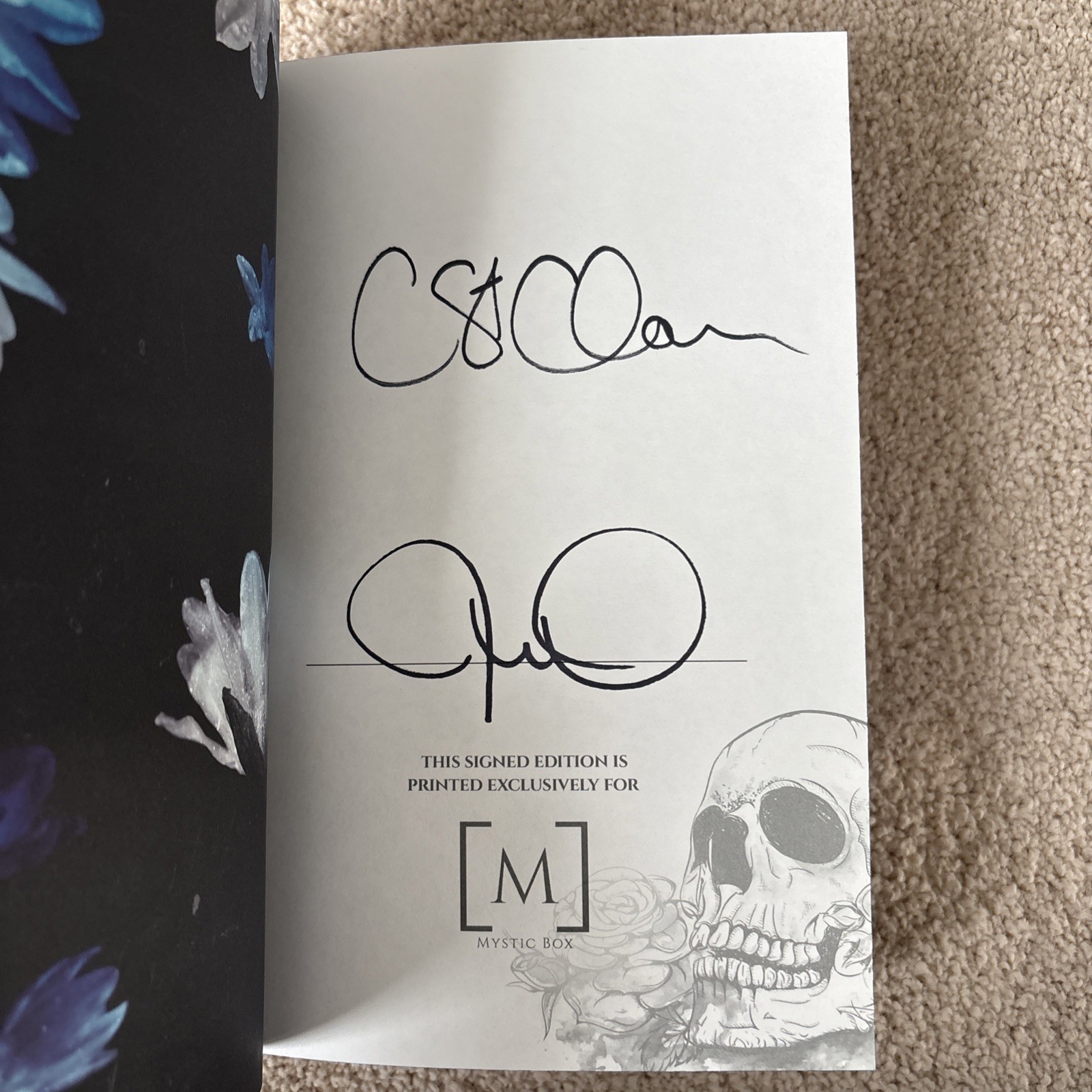 Irreversible by Jennifer Hartmann & Chelley St. Clair Mystic Box Special Edition