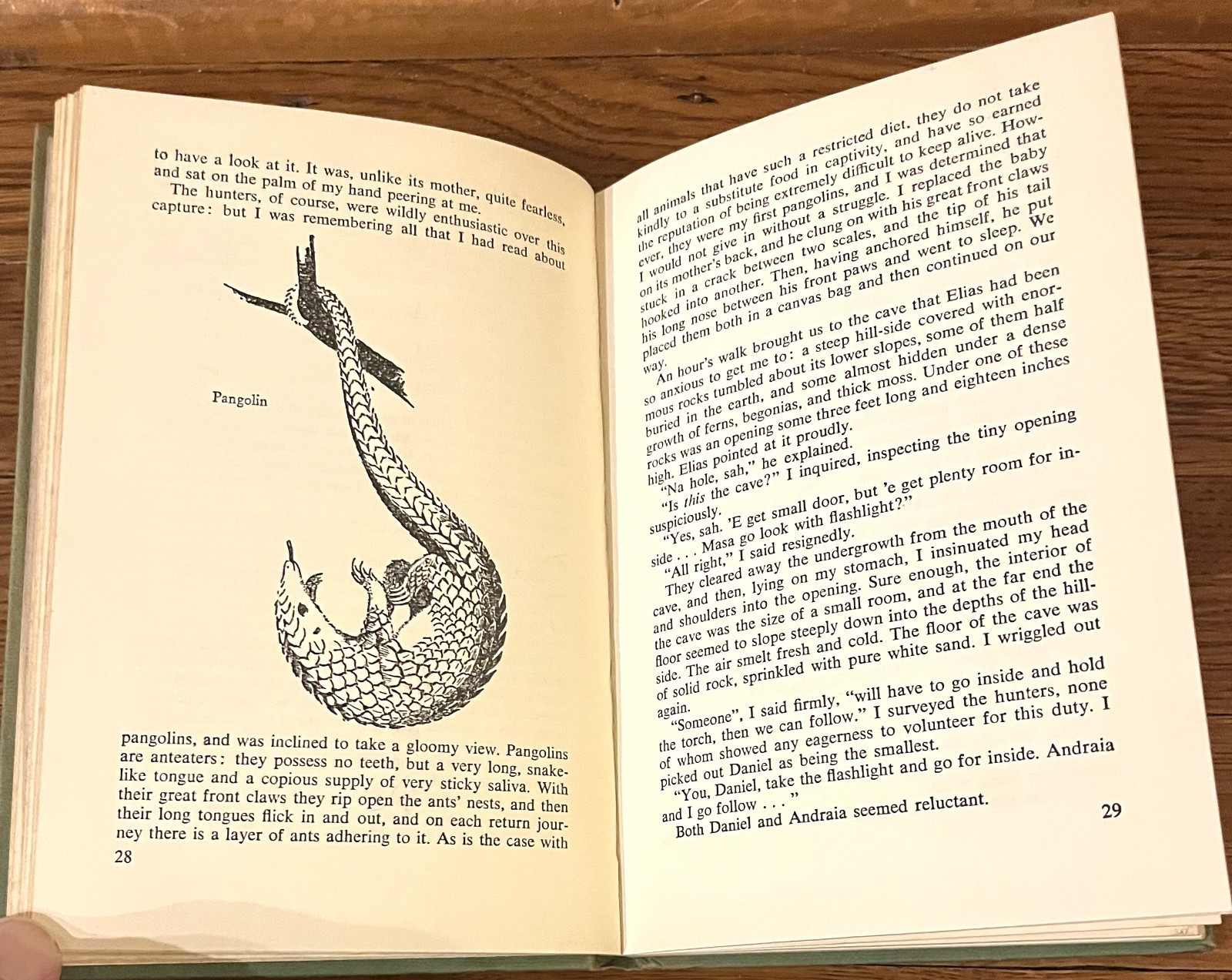 THE OVERLOADED ARK-Zoo Collecting Book-GERALD M. DURRELL-Abbreviated 1960-Ex HC!