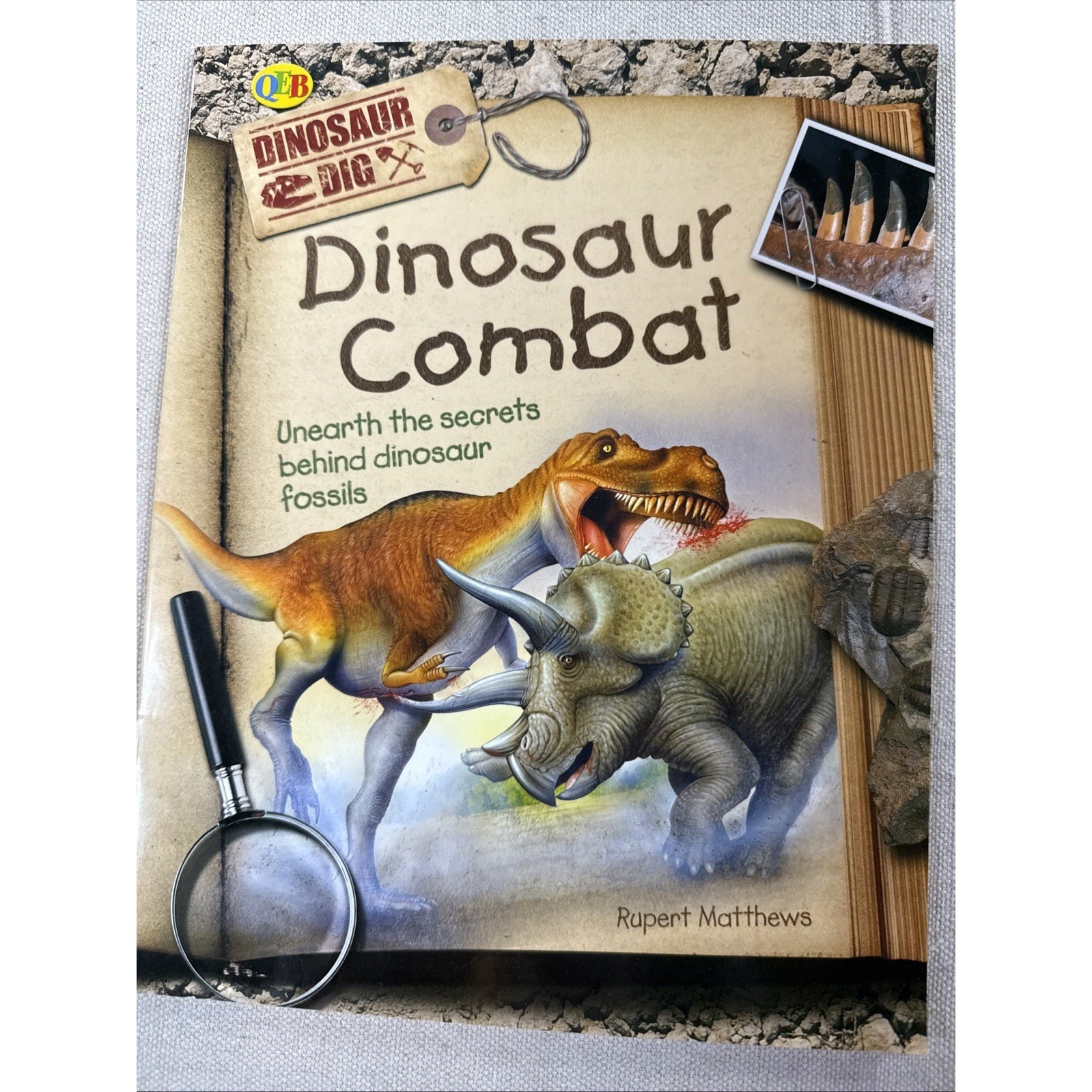 Dinosaur Books Kids Set 4 Rupert Matthews QEB Fossil Science Lot