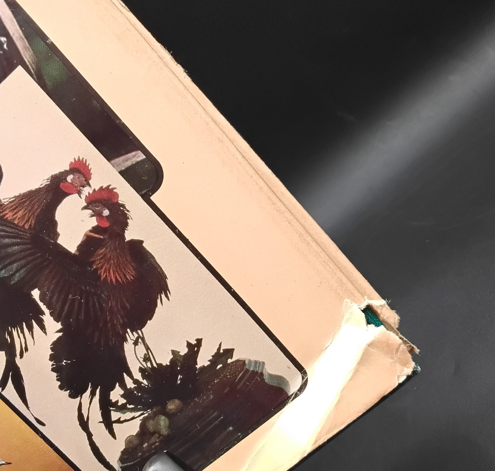 MASTERS OF DECORATIVE BIRD CARVING By Anne Small – Hardcover 1981