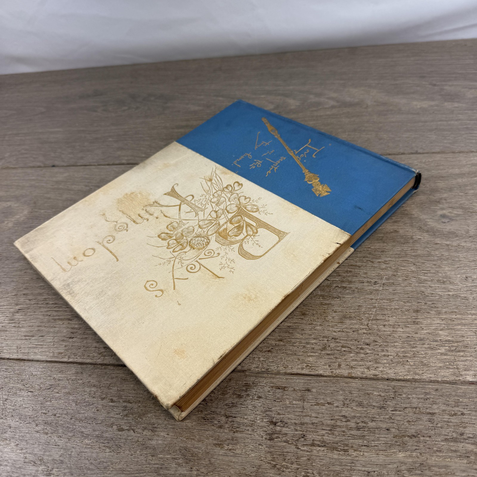 Vintage 1897 Baby’s Kingdom Annie F. Cox Baby Memory Book Hardcover Boston MA