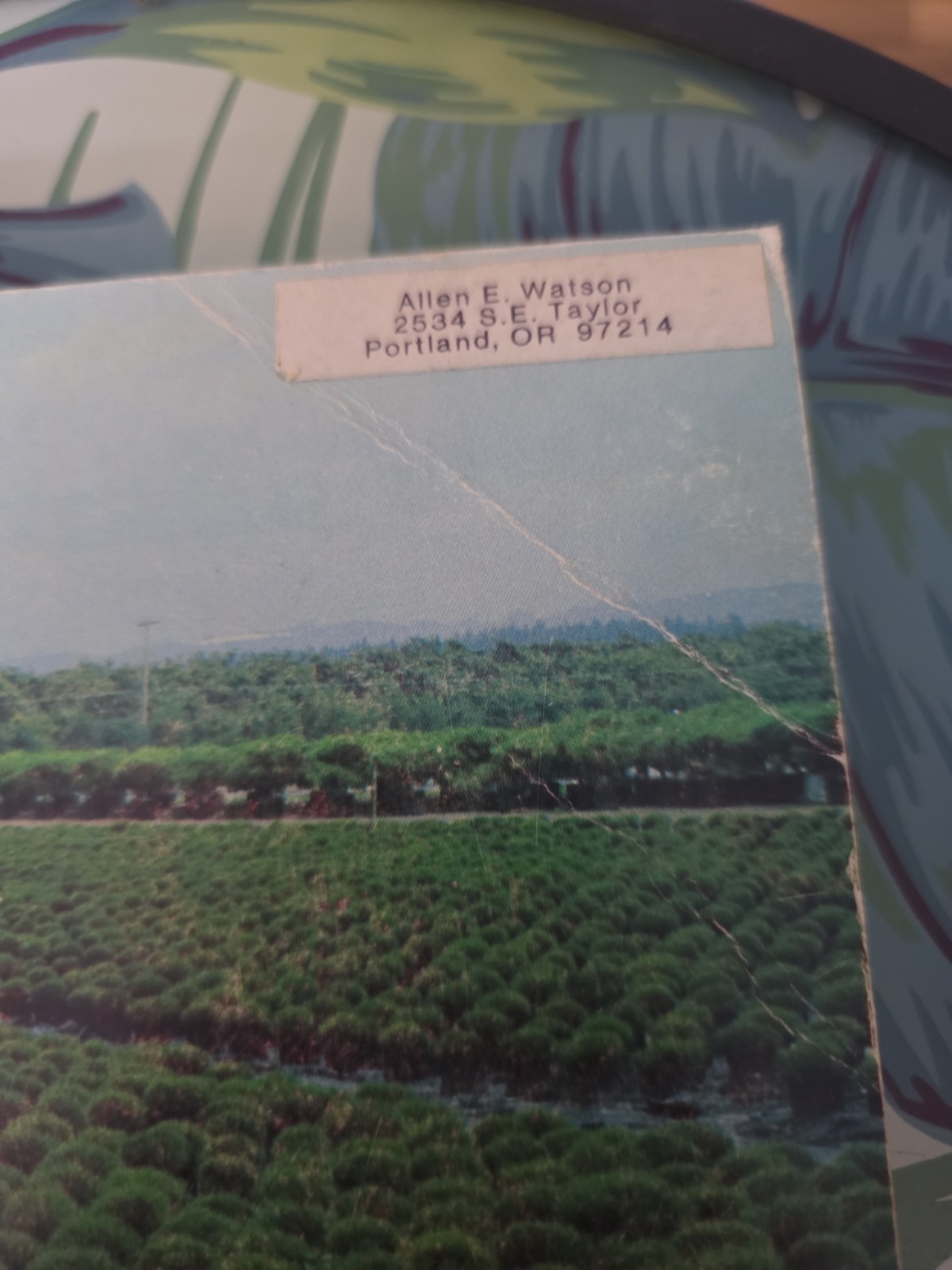 The Reference Manual of Woody Plant Propagation: From Seed to Tissue Culture