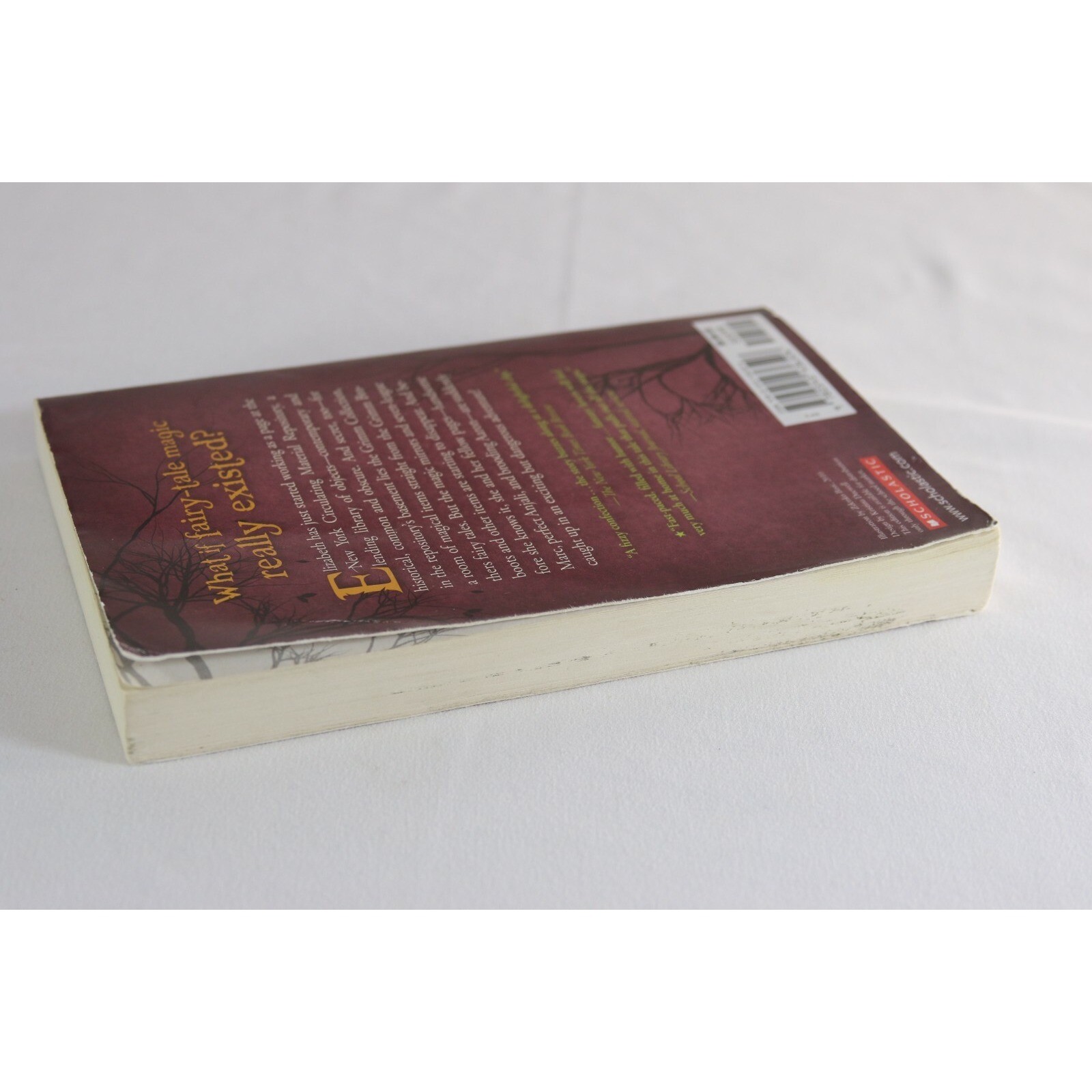 The Grimm Legacy Paperback Polly Shulman YA Fantasy Magic Scholastic 325 Pages