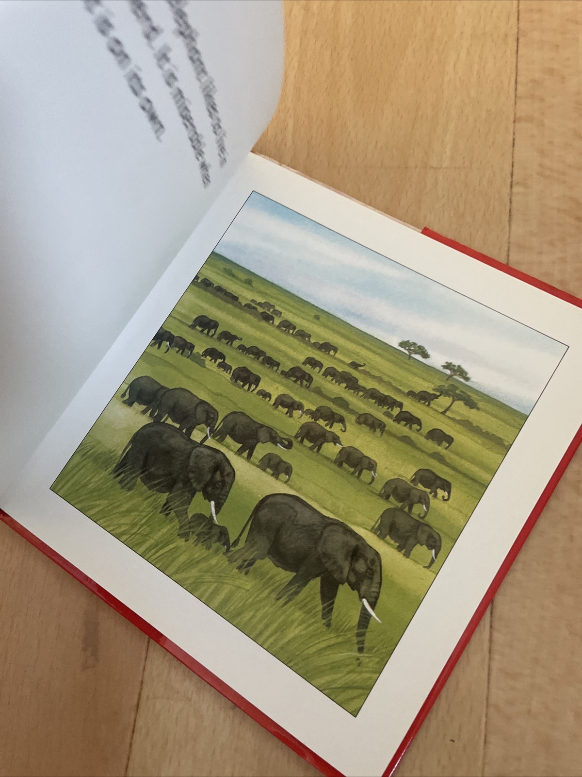 LONGMAN. HELLO ELEPHANT. 17 BY 17CM. HARDCOVER WJACKET 0582390788