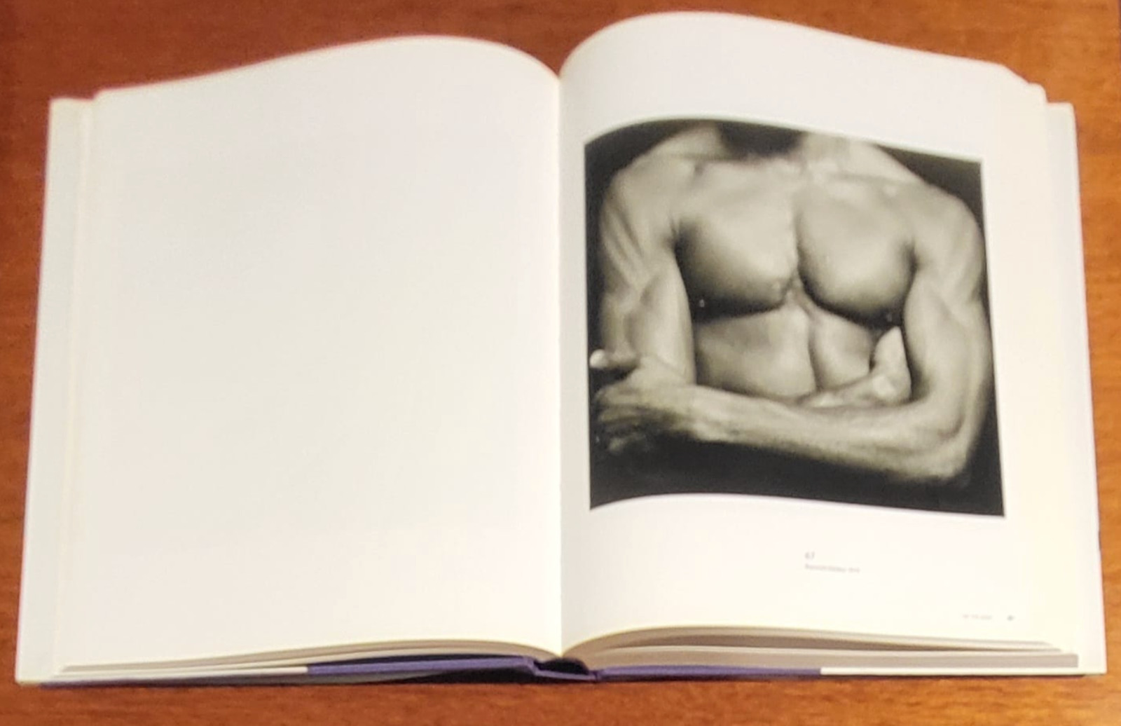 Robert Mapplethorpe The Photographs